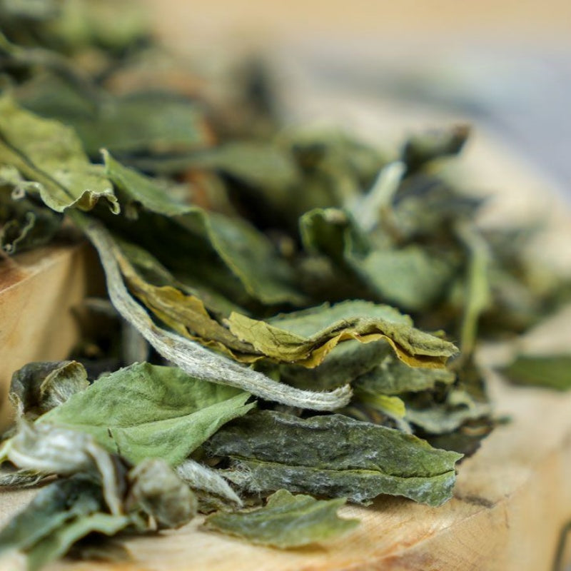 Bai Mudan tea(white tea)