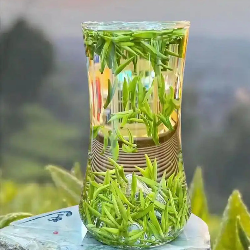 blog_green tea stored