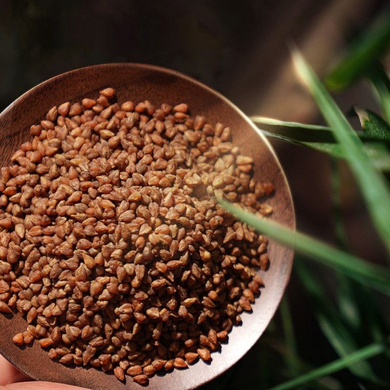 Buckwheat Tea( Herbal health tea)