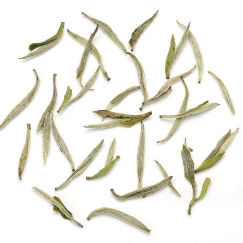 Silver Needle tea（white tea）