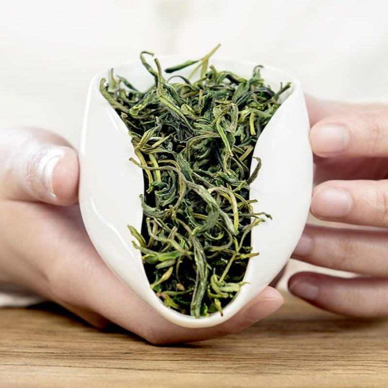 yellow mountain fuzz tip（Green tea）