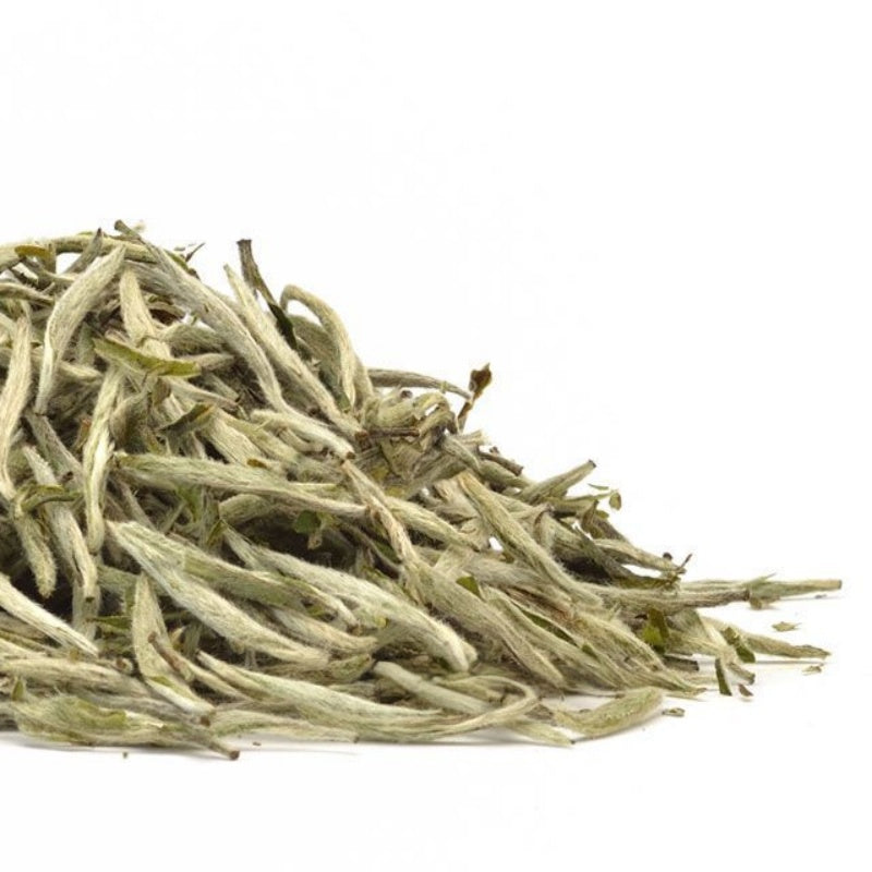 Silver Needle tea（white tea）